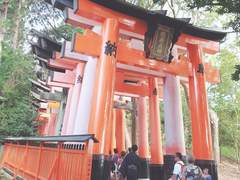 교토 여행 사진