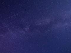 오자마자 걸음을 옮긴 곳.