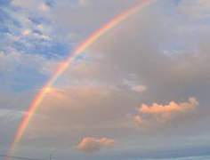 내가 너를 사랑하는 열가지 이유 01