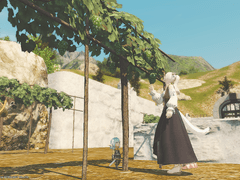 파이널 판타지 14의 기본