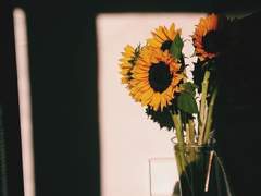 [Wilde X Ross] Ever After_1