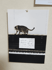 소설 쓰고 싶다