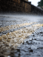 더럽게도, 순정