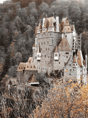 새벽의 장편 시리즈