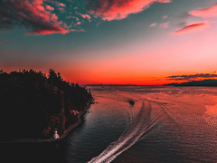 [닼초+닼카오] 고치繭