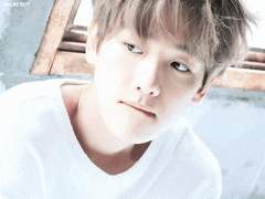 [엑소 빙의글/백현 빙의글] 예그리나