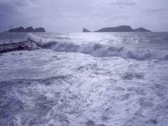 태풍은 태양을 쳐다볼 수 없다