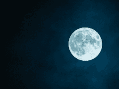 [배니싱] 검은 고양이(외전_과거)