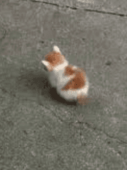 자캐로그랑 비설