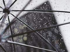 [이단브랜] D+∞