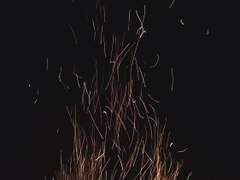 세포신곡) 구두 한 켤레