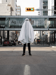 유료/무료 배포