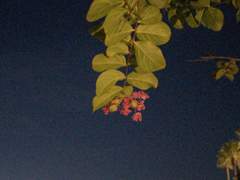 그대 걱정마오.