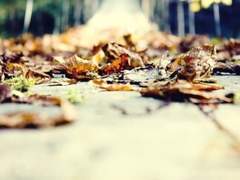 "하면 된다" 라는 말은 사실일까?