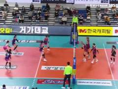 11.02(화) 19:00KOVO여 페퍼저축은행 vs 흥국생명