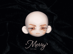 상세구현 ㅣ 플라스틱 하트 퍼플라인 P-1 ㅣ 스페셜타입