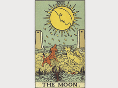 믿지 않는 자들 | 1-2