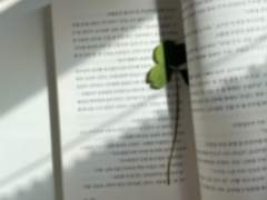 하늘색의 편지 봉투에 담긴,