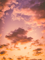 붉은 하늘 아래서 모두와 함께 푸른 하늘을 바라보았다