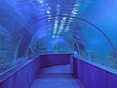 입김이 눈 앞을 가리던 겨울이었다