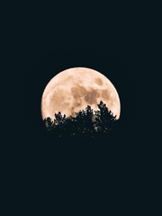 [앙스타] 레이코가/코가레이 모음