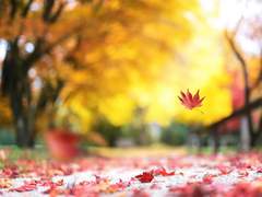 [황시목] 재도전남편 7