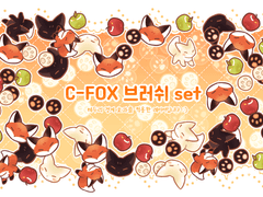 🦊C-FOX 브러쉬 SET🍎