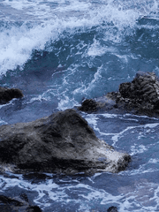 당신에게 바치는