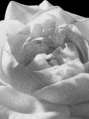 𝔖𝔬𝔪𝔫𝔦𝔲𝔪