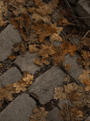 쿠니킨 외로운 악수