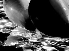 그대는 정녕 한 발짝도 내게 내려오지 않던가요.