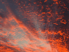 선분인생(線分人生)