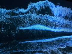 찰나에 여생을 바치며