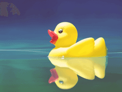 순수톡 Ⅳ 10. °○° 우앙!