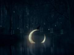 그녀의 마지막 부탁