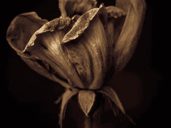 [단편] 𝒫𝓁𝒶𝓎𝓁𝒾𝓈𝓉 예고