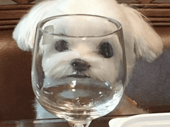 스엠나라 여주공주2 2