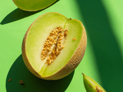 [MIU404/전력] 노을