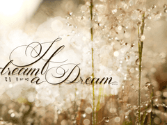 If we dream a Dream