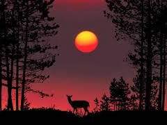 시놉시스-세계관