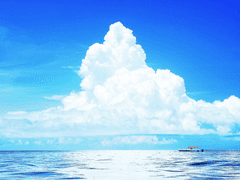 나도 피리를 불어보고싶어!