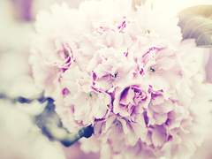 #3. 실험 및 검증