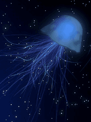 침묵 속에 잠긴 아이는