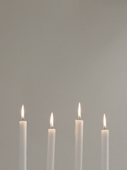 설정 끄적거리기