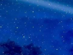 제 사전에 포기란 단어가 없네요. 유감입니다.