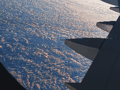 6월 커미션 안내