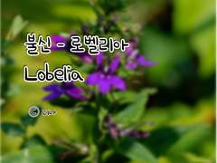 [Ch.01] 의심도 씨앗이 있어야 시작된다