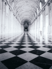 대체 누굴 믿어야 하는지....