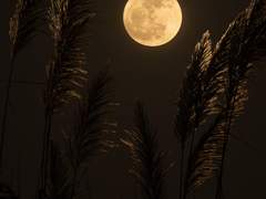 밤은 사람을 연약하게 만드는 시간 같았다