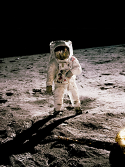 [래빈문대] 달토끼